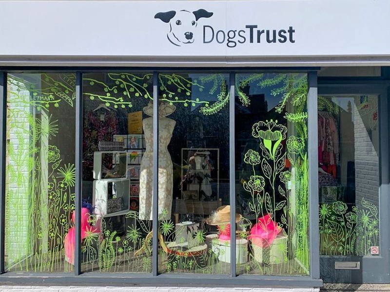 Dogs trust charity store shop near me